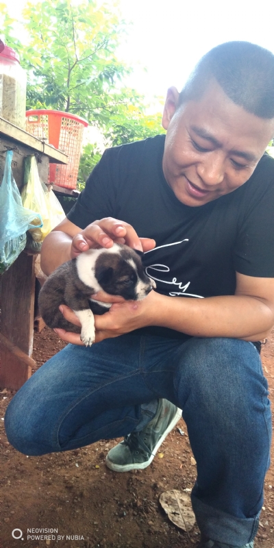 深圳相亲的第一张照片--广东蓝颜知己交友网