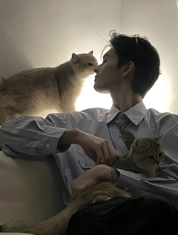 怪猫的第一张照片--广东蓝颜知己交友网